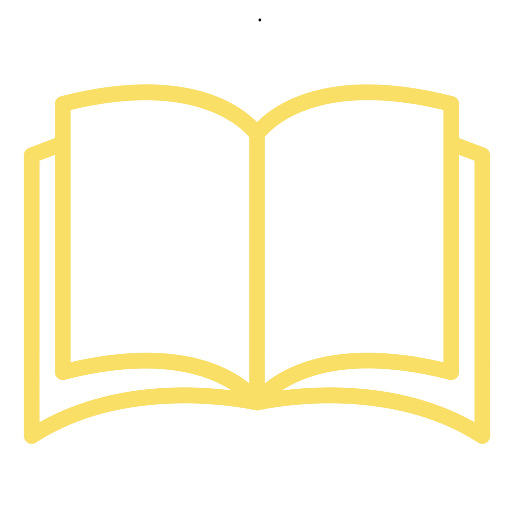 Icône livre ouvert — eBook Roulez Futé, guide pour importer une voiture en Europe