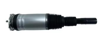LR059937